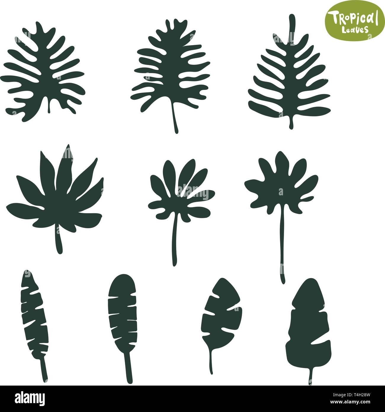 Tropische Doodle-Blätter Kollektion. Satz von Vektor-isolierten Silhouetten auf weißem Hintergrund. Stock Vektor