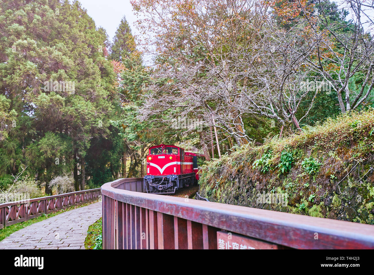 Alishan, Taiwan, 6. Dezember 2018: mit dem Zug vom Bahnhof Alishan forest Um den Wald in Alishan, Taiwan zu gehen. Stockfoto