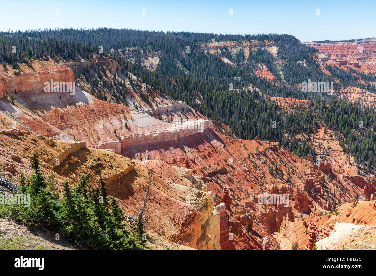 Blick hinunter in eine Schlucht von rot, orange und gelb Felsformation mit grünen Wald Bäume. Stockfoto