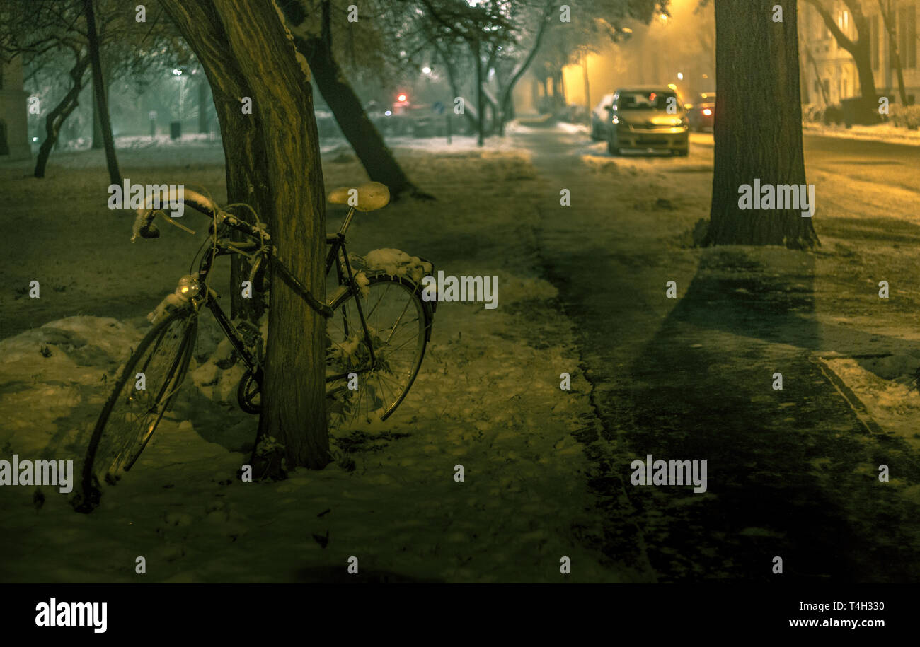 Lonely Fahrrad Baum gesperrt Stockfoto