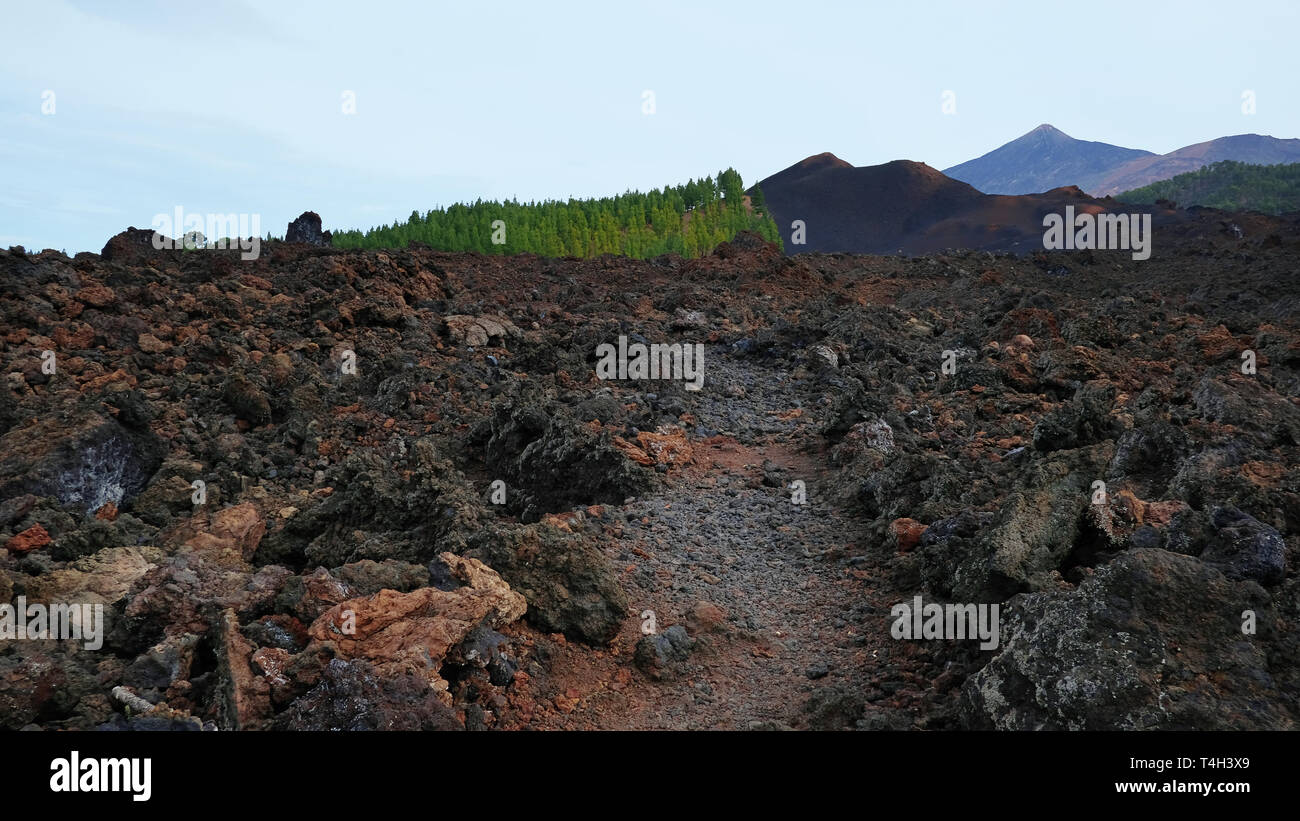 Vulkanische Pfad durch die rauhen trockenen Landschaft der Chinyero besondere natürliche Reserve, ein lava Gebiet mit wenig Vegetation, Teneriffa, Kanarische Inseln Stockfoto