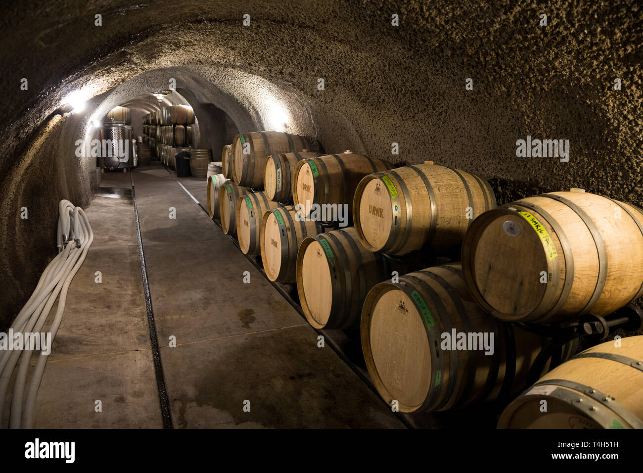 DRNK Weingut Russian River Valley in Kalifornien Stockfoto