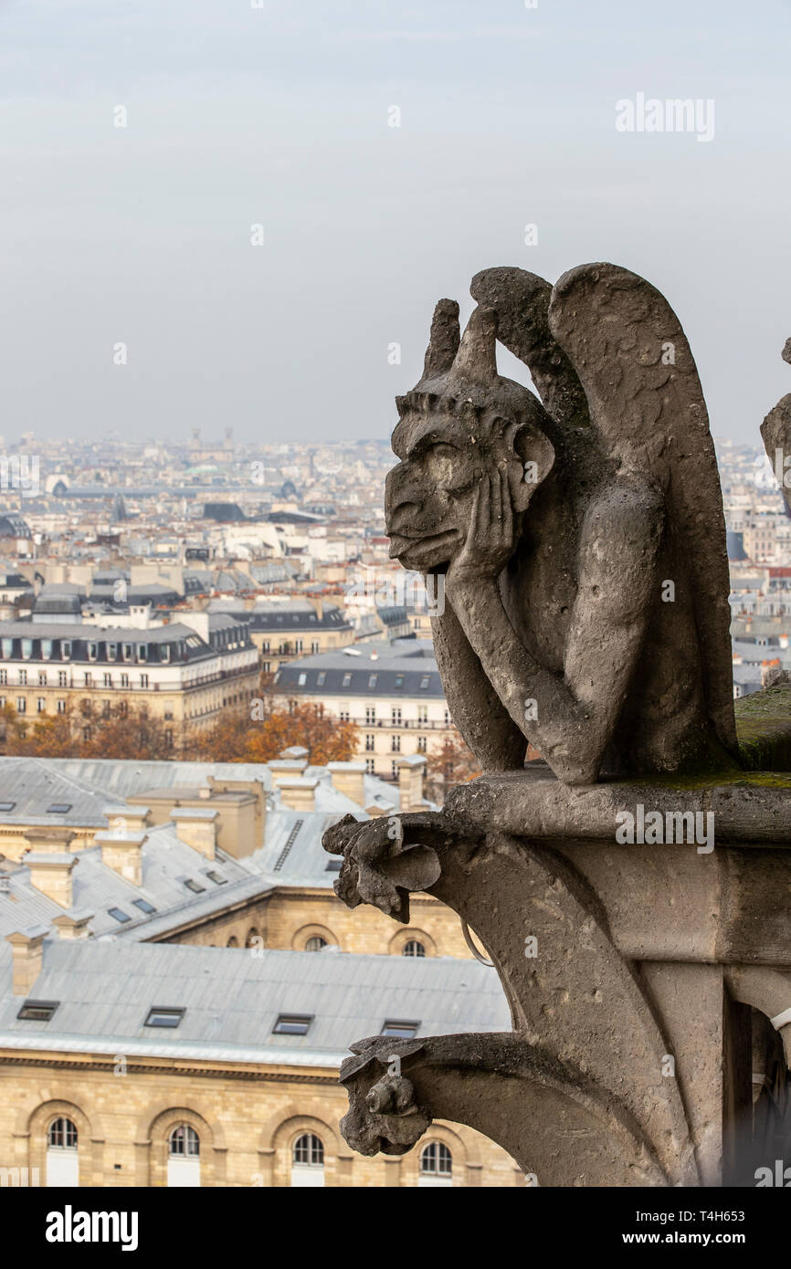 Notre Dame Cathedral Stockfoto