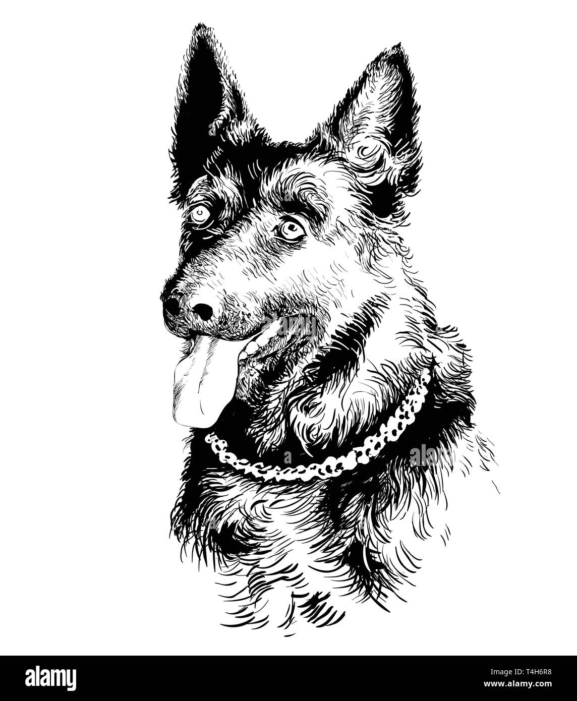 Hund Schäferhund portrait Stock Vektor