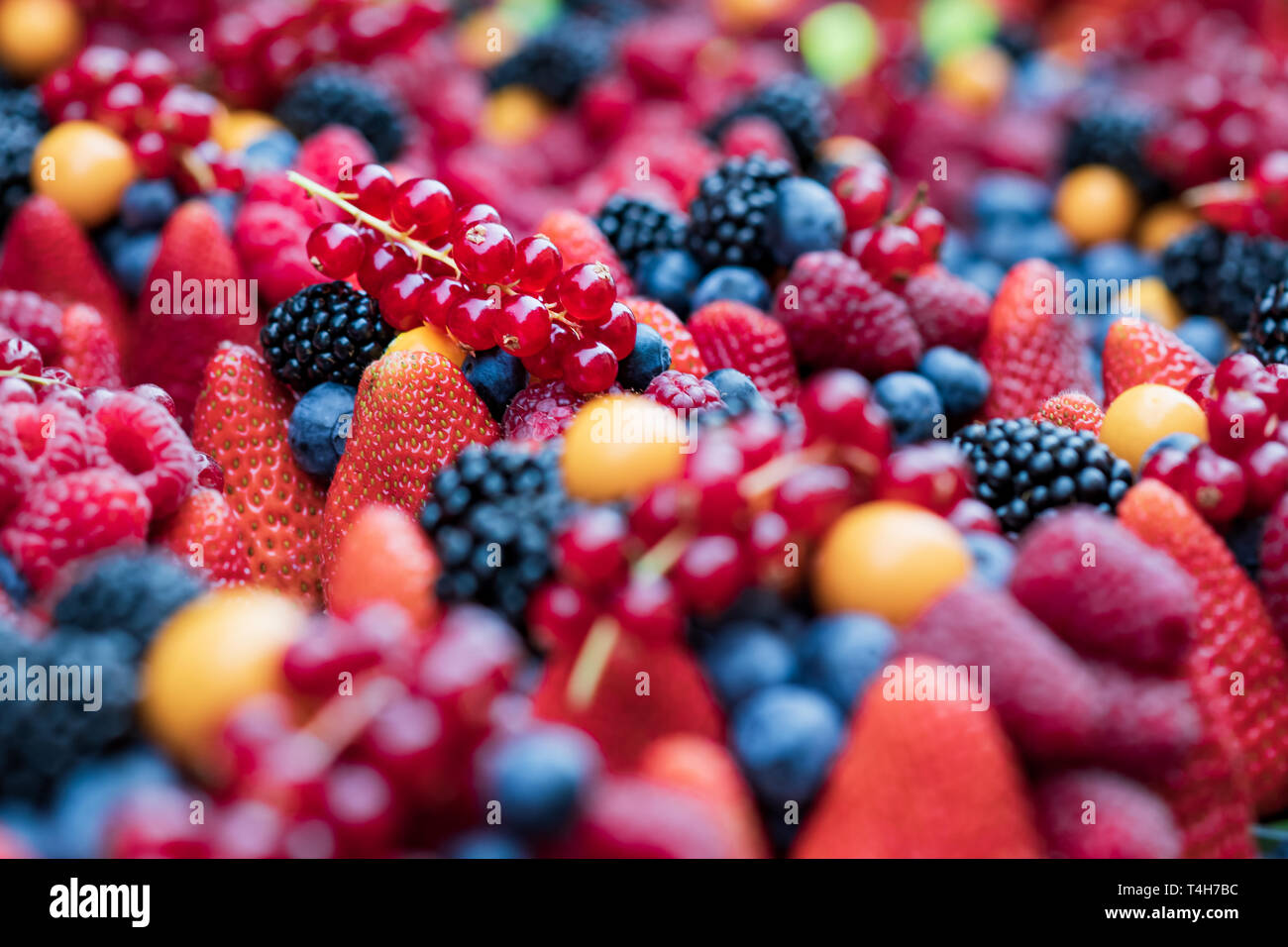 Nahaufnahme von einer Auswahl an hellen, frischen Obst Beeren - Erdbeere, Heidelbeere, Himbeere, Brombeere, Rot Stockfoto