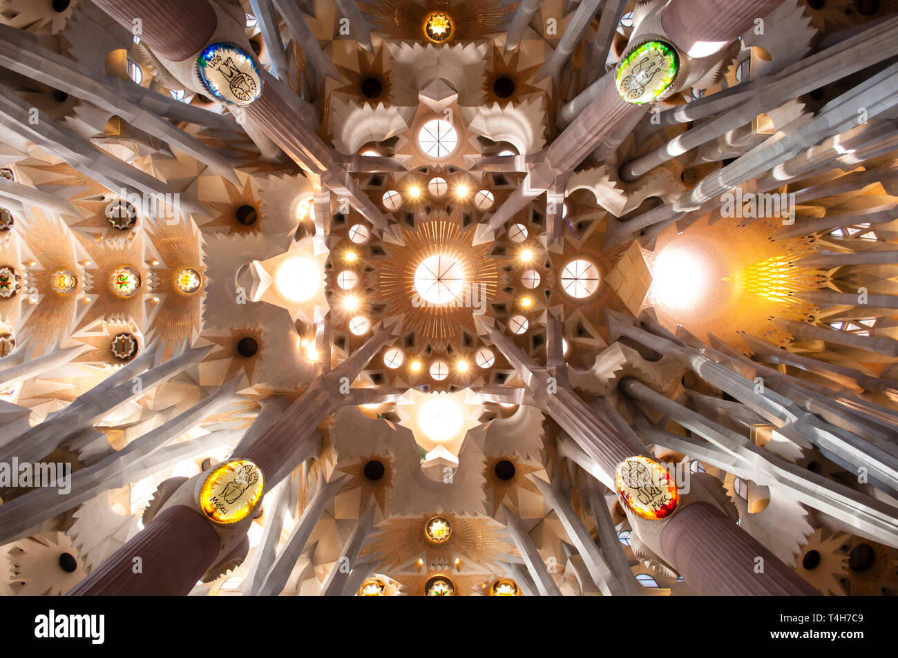 Decke des Innenraums des Sühnentempels der Sagrada Familia, entworfen vom Architekten Antoni Gaudi, Barcelona, ​​Catalonia, Spanien Stockfoto