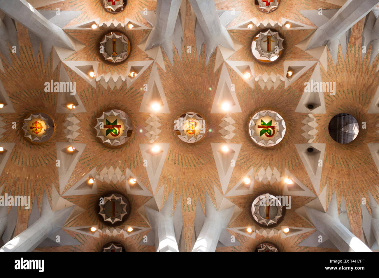 Decke des Innenraums des Sühnentempels der Sagrada Familia, entworfen vom Architekten Antoni Gaudi, Barcelona, ​​Catalonia, Spanien Stockfoto