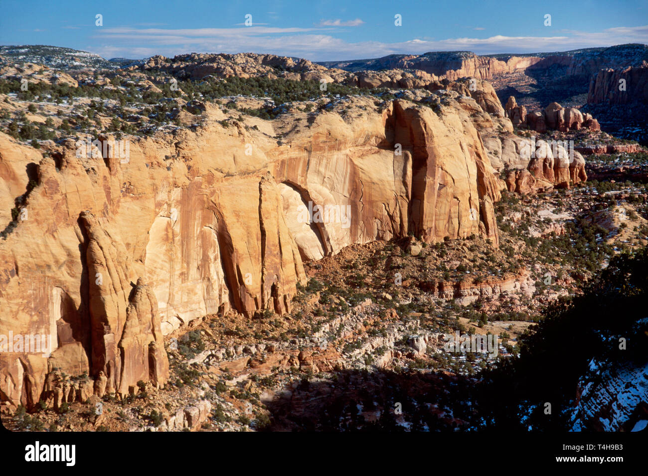 Arizona, AZ, Südwesten, Westen, Grand Canyon State, Navajo National Monument, Touristenattraktion, Denkmal, Betatakin Anasazi Ruinen, erbaut 1250, Pueblo Native Anc Stockfoto
