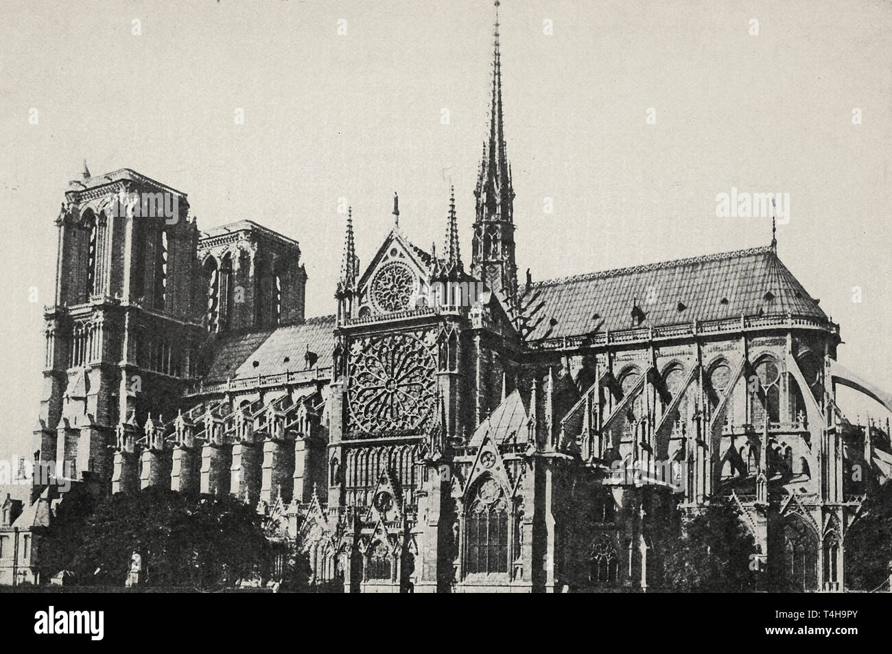 Notre Dame de Paris aus dem Süden Stockfoto