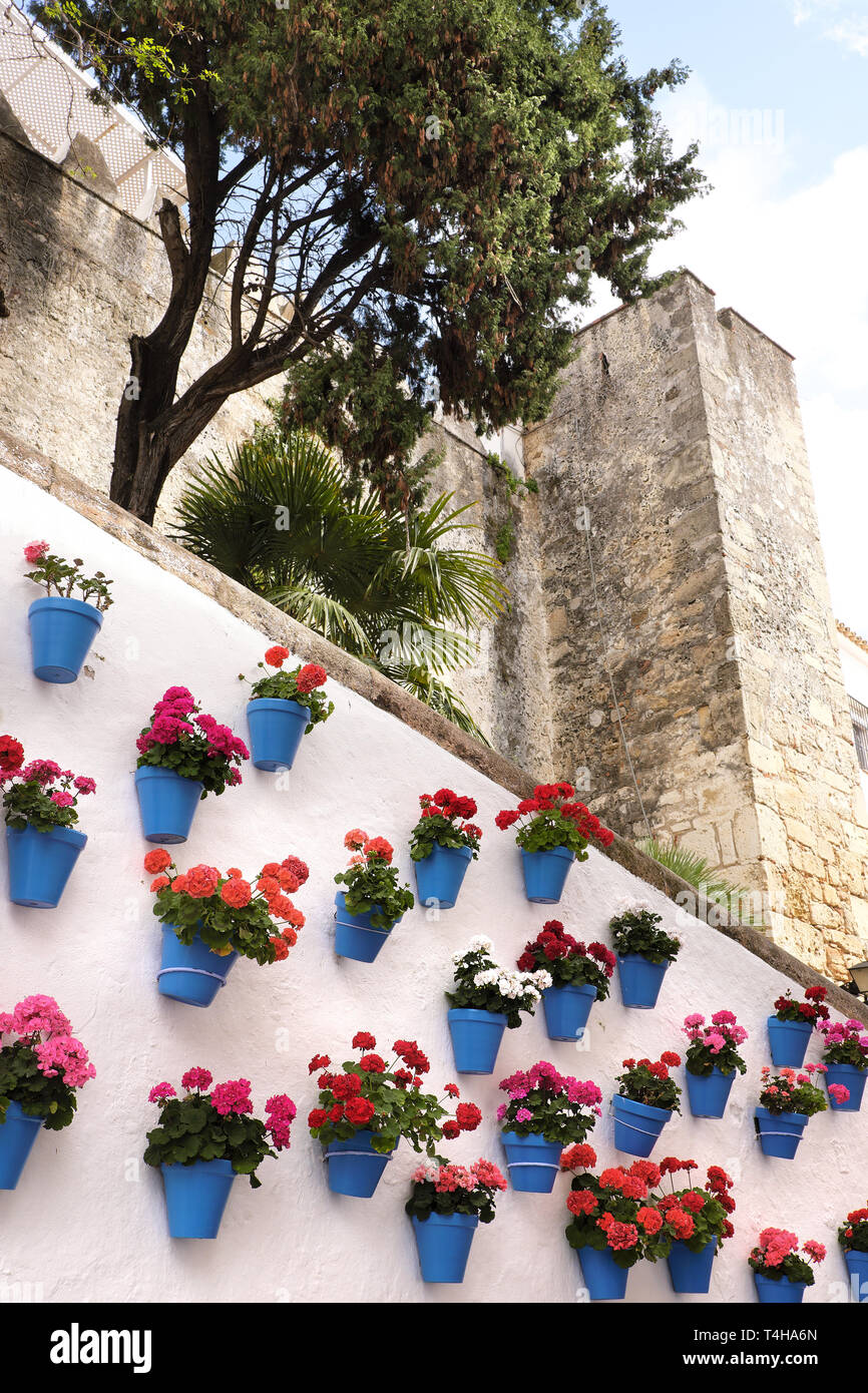 Die Altstadt von Marbella Andalusien Spanien traditionellen weißen Dorf  Blumentopf Wand Anzeige Stockfotografie - Alamy