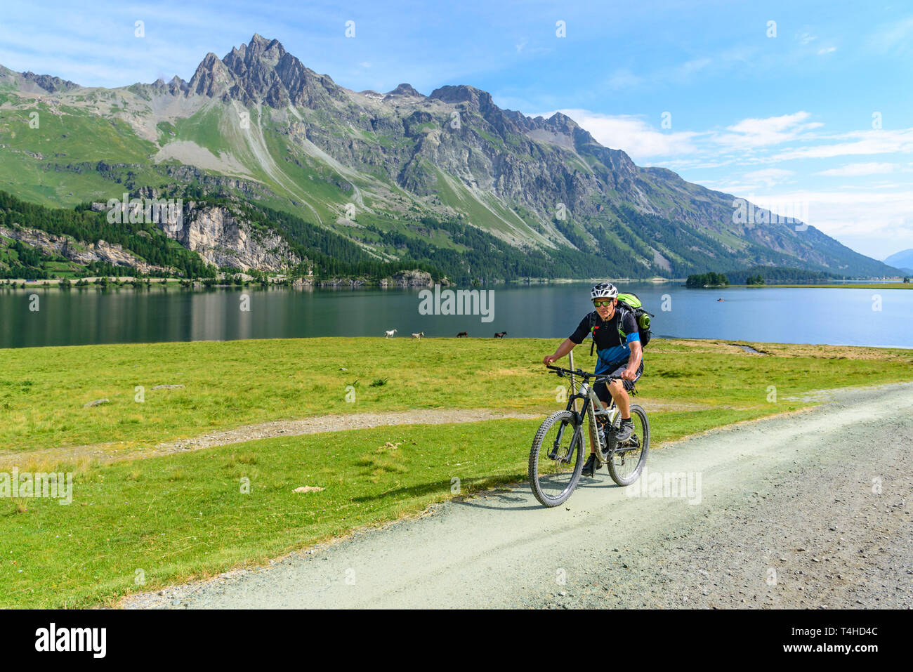 Man Radfahren auf Feldweg in der Nähe von Silser See im Engadin Stockfoto