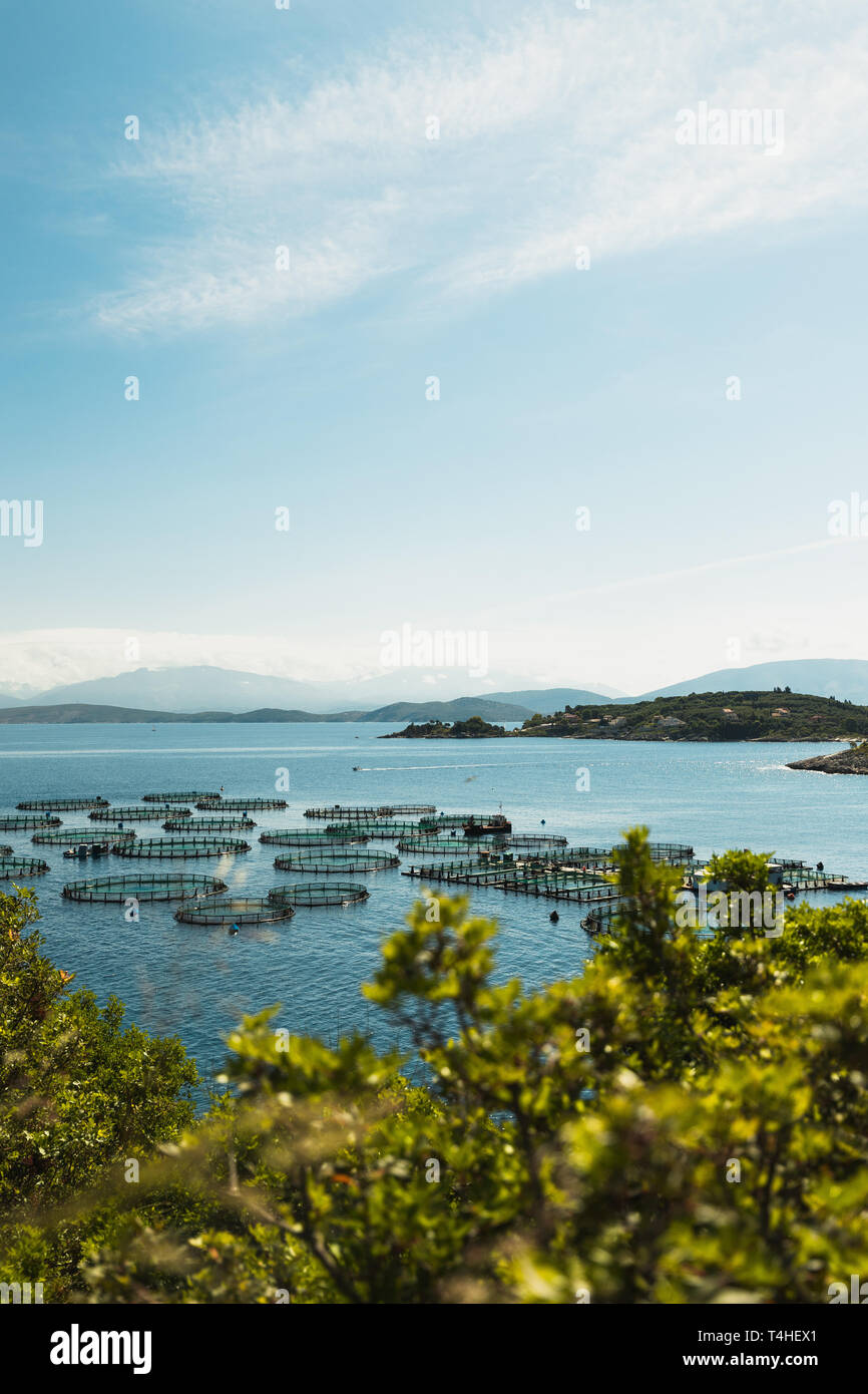 Meerwasser Fische Bauernhof am Ufer des Griechischen Ionische Insel Korfu wie bei einem schönen Sommertag (Korfu, Griechenland, Europa) entdeckt Stockfoto