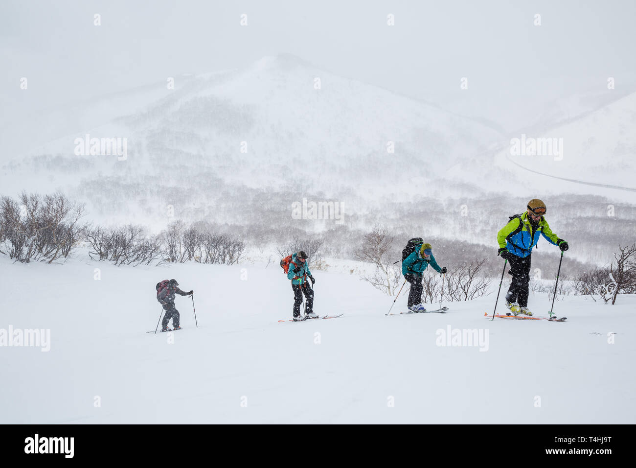 Gruppe von vier Tourengängern wandern bergauf in Hokkaido. Die Gruppe ist Skifahren Tiefschnee im Hinterland in der Nähe von Niseko, Japan in einem Schneesturm. Stockfoto