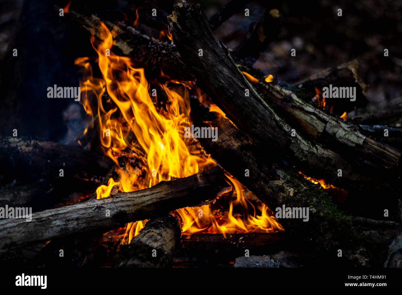 Abends Feuer im Dschungel Stockfoto