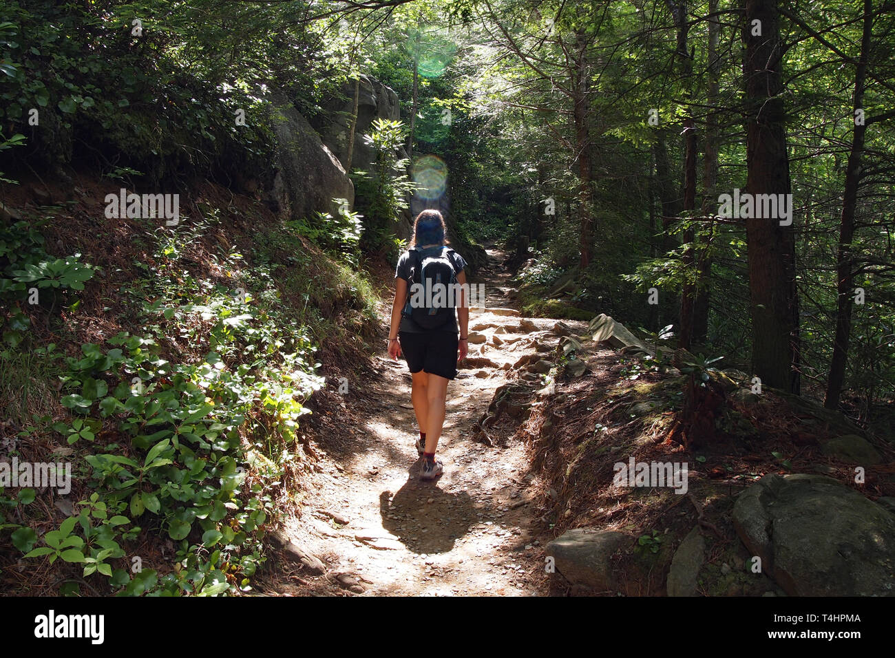 Junge Frau wandern auf einem Trail in der Great Smoky Mountains National Park, Tennessee, im Frühsommer. Stockfoto