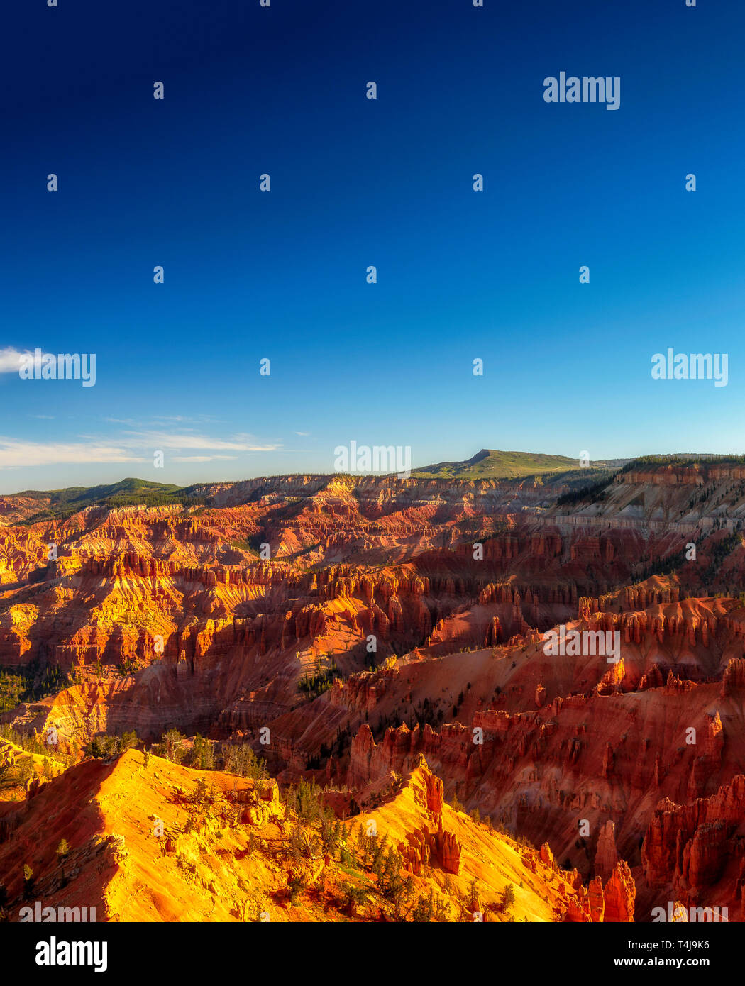 Morgen Sun shinning auf orange und gelb Felsformation im Canyon unten unter strahlend blauem Himmel Stockfoto