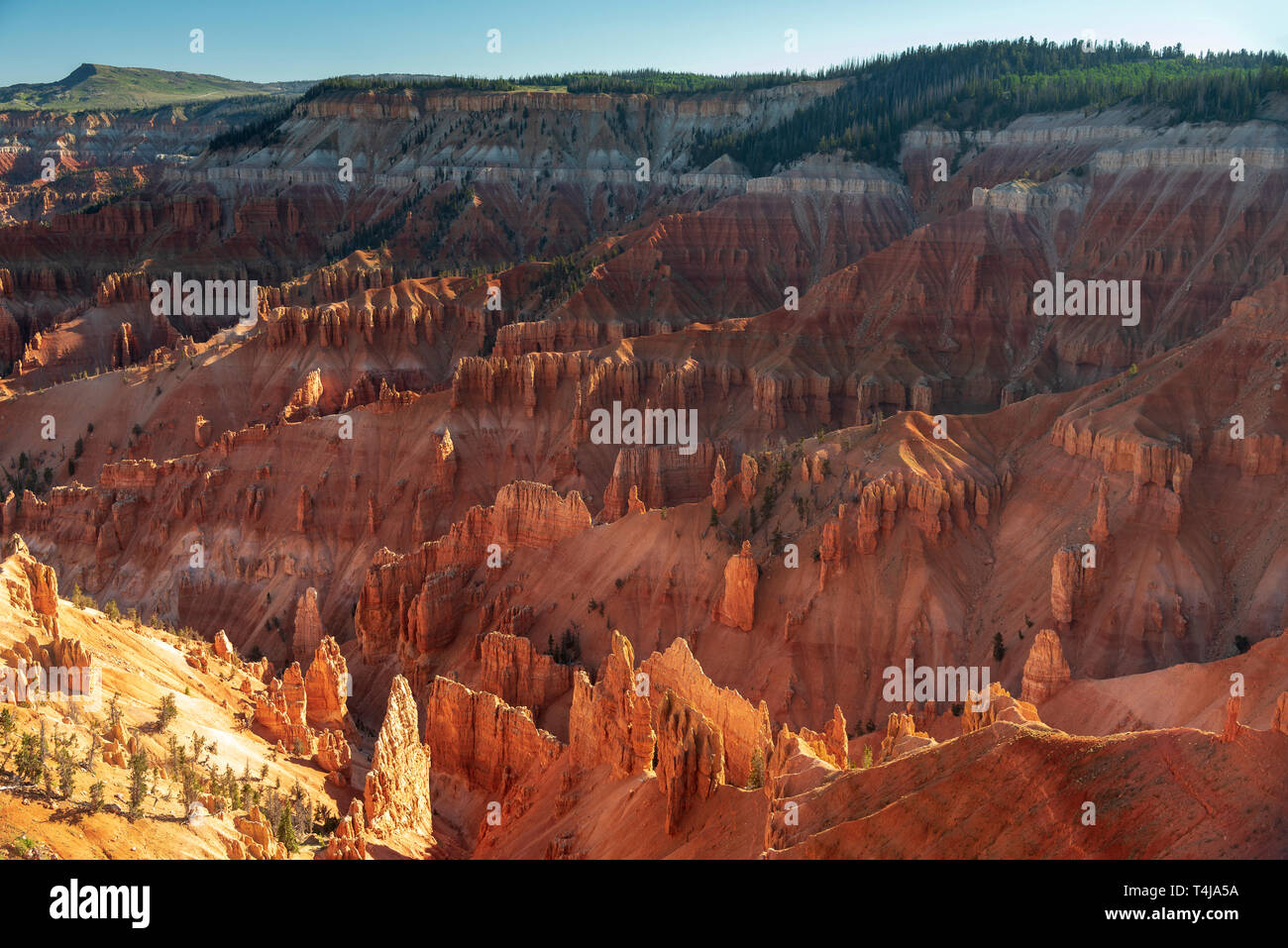 Blick nach unten in einen bunten orange, rot und gelb Canyon der schönen Felsformationen mit Morgensonne Beleuchtung der Schlucht. Stockfoto