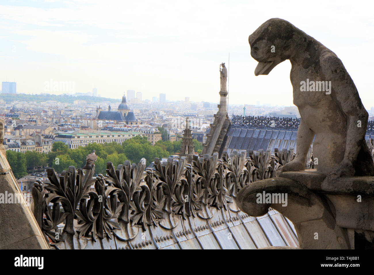 Dach Details von Notre Dame de Paris, Frankreich Stockfoto