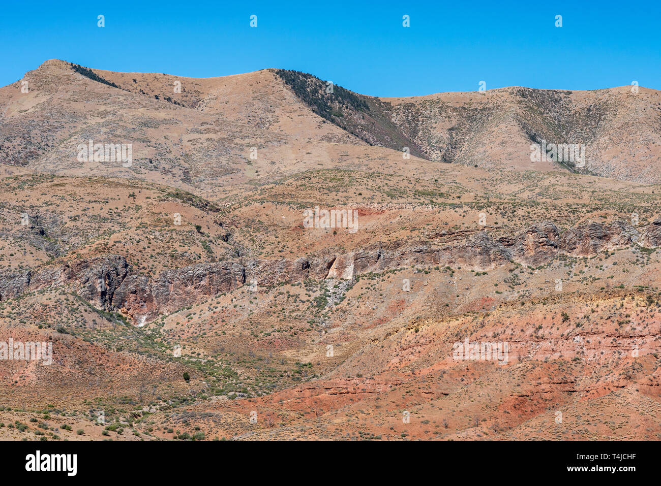 Patches der grünen Pinsel und rötlich orange Boden und Fels schöne Wüste Tal mit grossen braunen Bergen unter einem blauen Himmel. Stockfoto