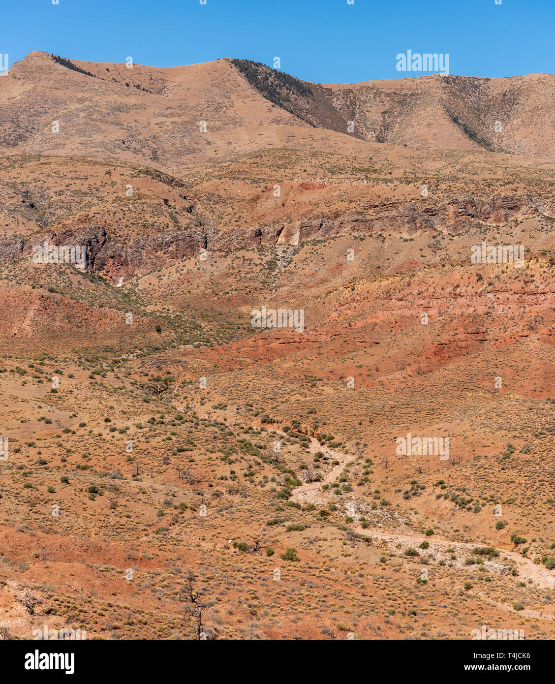 Rötlich-orange Wüstental mit trockenen Weg in Richtung braun Klippen und kargen braunen Berge führen unter einem strahlend blauen Himmel. Stockfoto