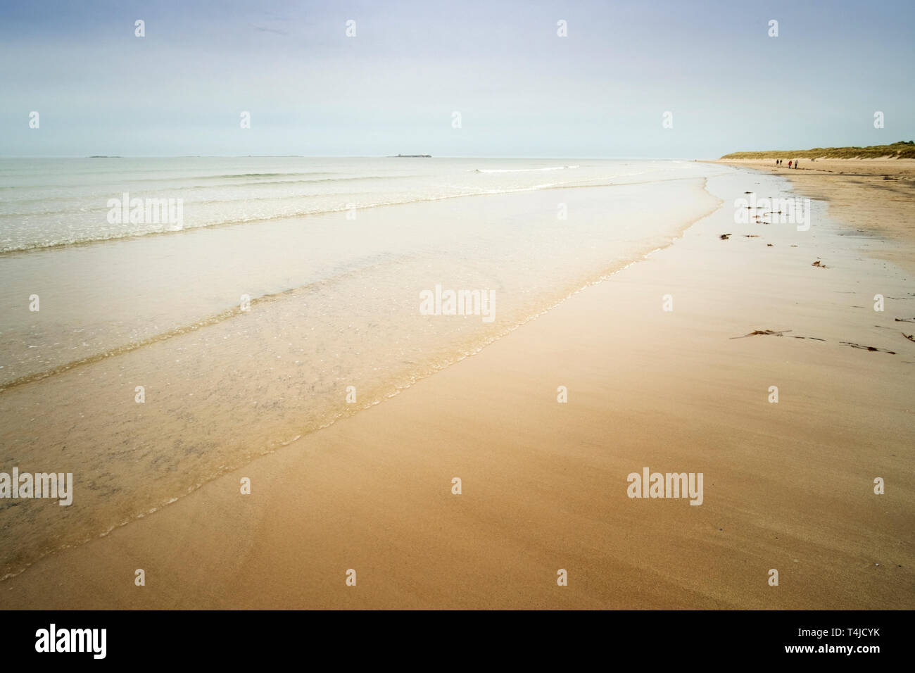 Sandy Bamburgh Beach mit der Farne Islands am Horizont, Northumberland, England, UK, Europa Stockfoto