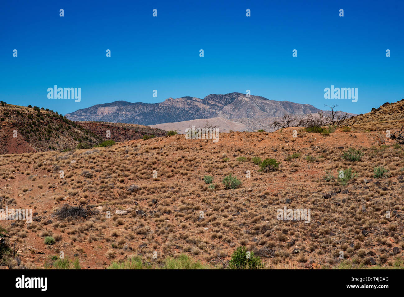 Sie suchen eine braune Wüste Hügel mit einem trockenen Pinsel und spärliche grüne Büsche Richtung Mountain Top nuder blauen Himmel. Stockfoto