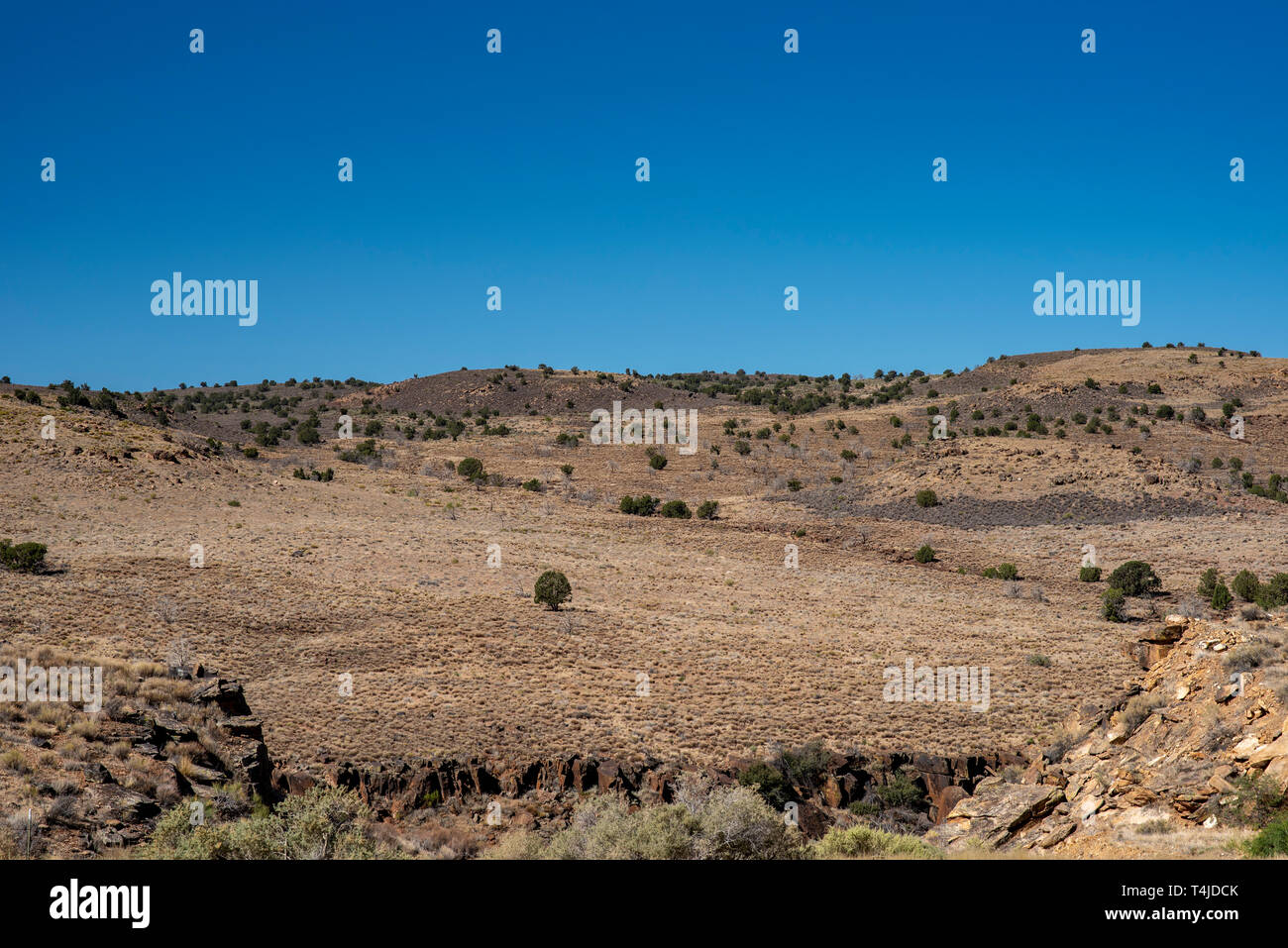 Rauhe felsige Wüstenlandschaft mit braunen Bergen mit spärlichen grünen Büschen unter einem strahlend blauen Himmel. Stockfoto