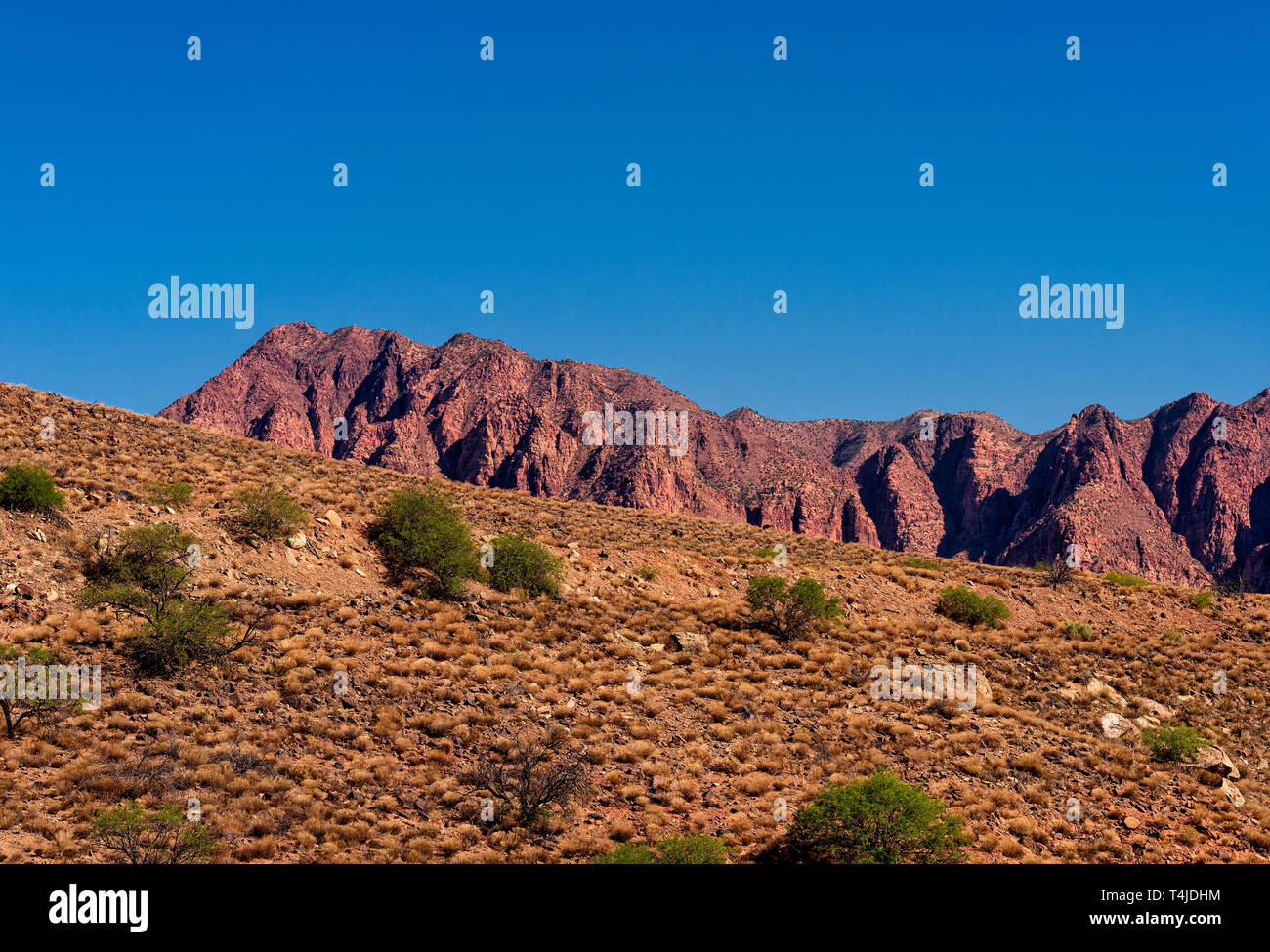 Grüne wüste Büsche auf braune Hügel mit bunten rot Rocky Mountain unter einem blauen Himmel. Stockfoto