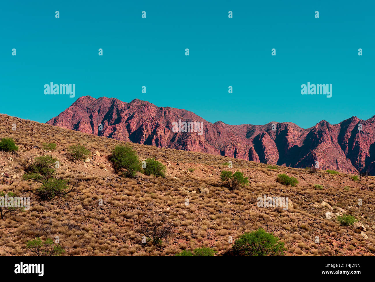 Grüne wüste Büsche auf braune Hügel mit bunten rot Rocky Mountain unter einem türkisfarbenen Himmel. Stockfoto