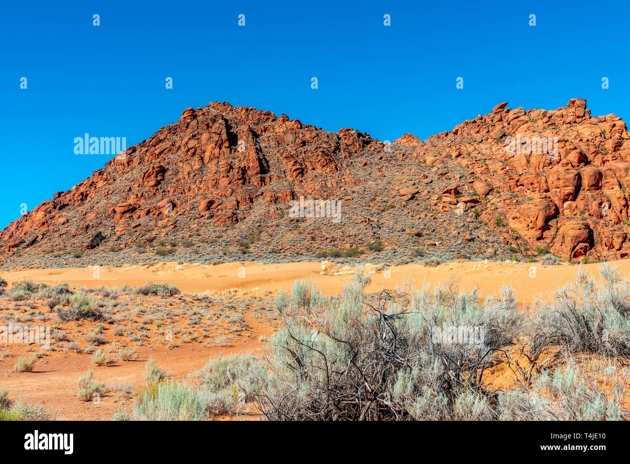 Gelbe Sanddünen, Red Rock Berge und Salbei Bürste unter einem blauen Himmel. Stockfoto