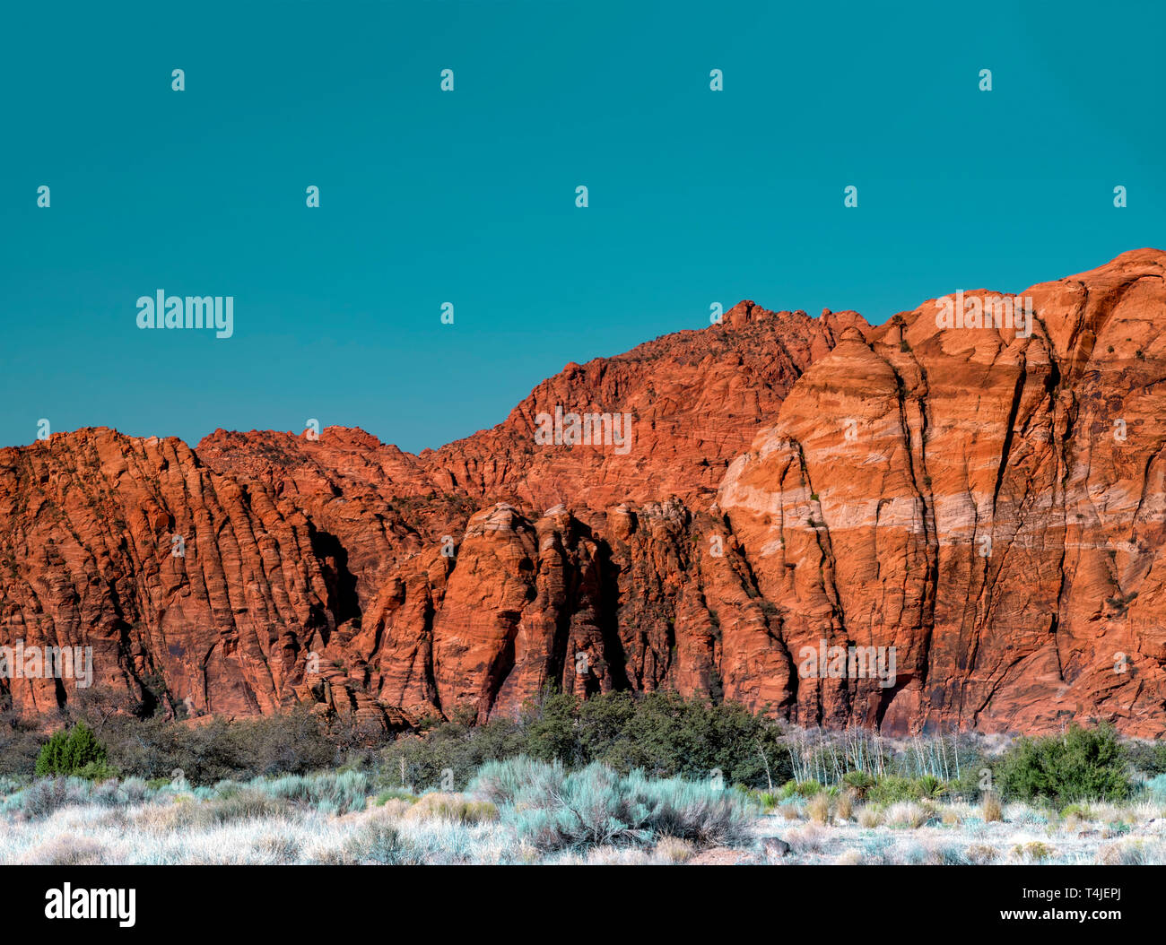 Rot Rocky Mountains mit Wüste grün Pinsel unter einem blauen Licht blauer Himmel. Stockfoto