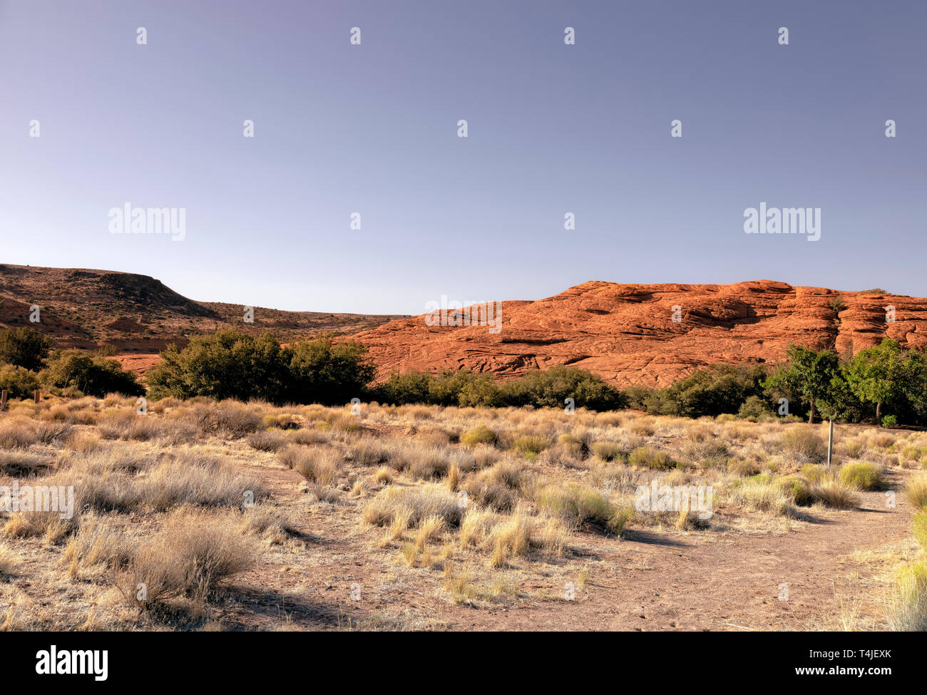 Schmutz Wanderweg führt durch Sagebrush in Richtung grüne Bäume und steile Rote felsigen Hügeln unter einem hellen Blau Lila Himmel. Stockfoto