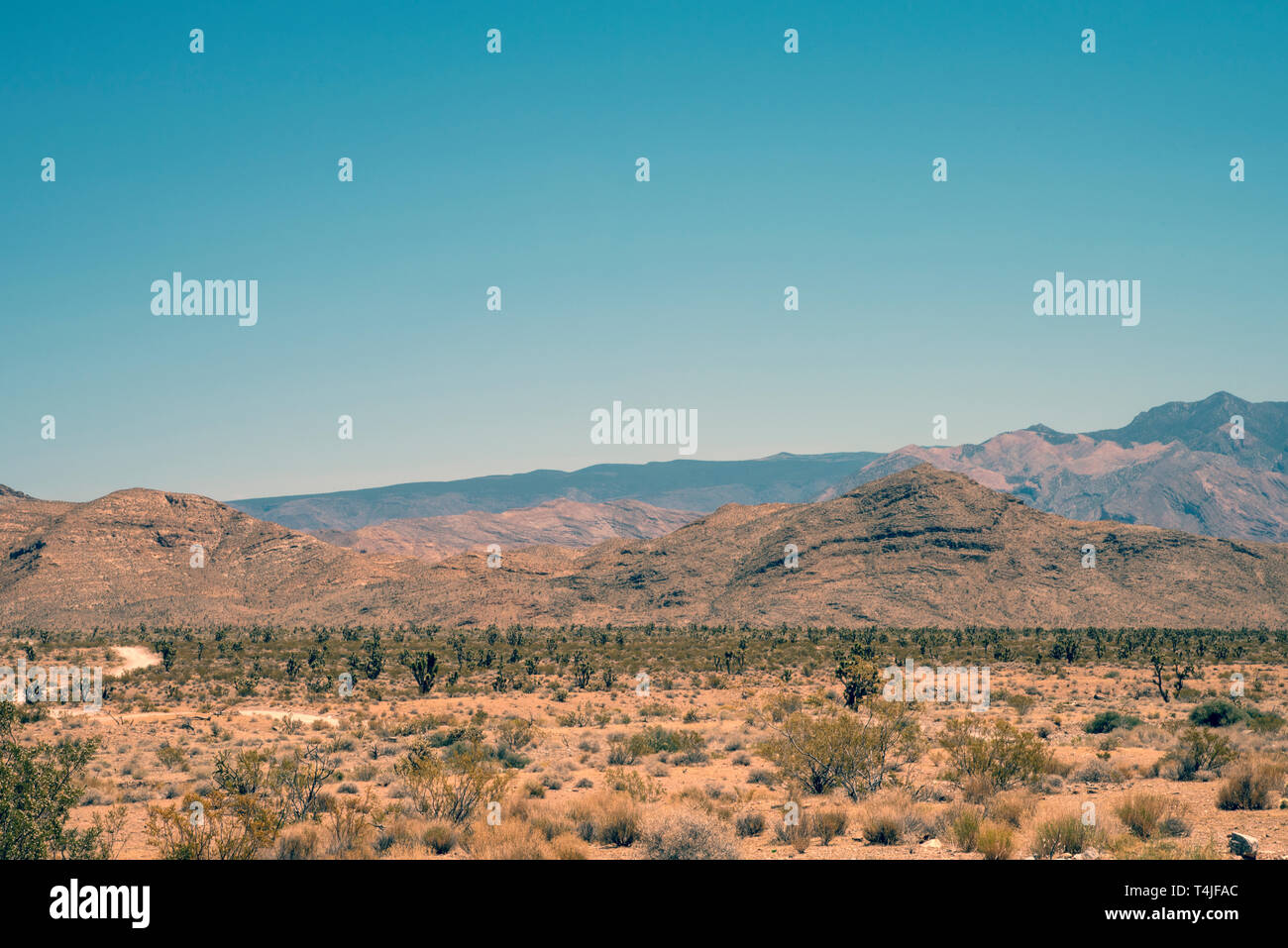 Wüste Büsche, mit Piste in Unfruchtbare felsige Hügel führenden über unter einem blauen Himmel. Stockfoto