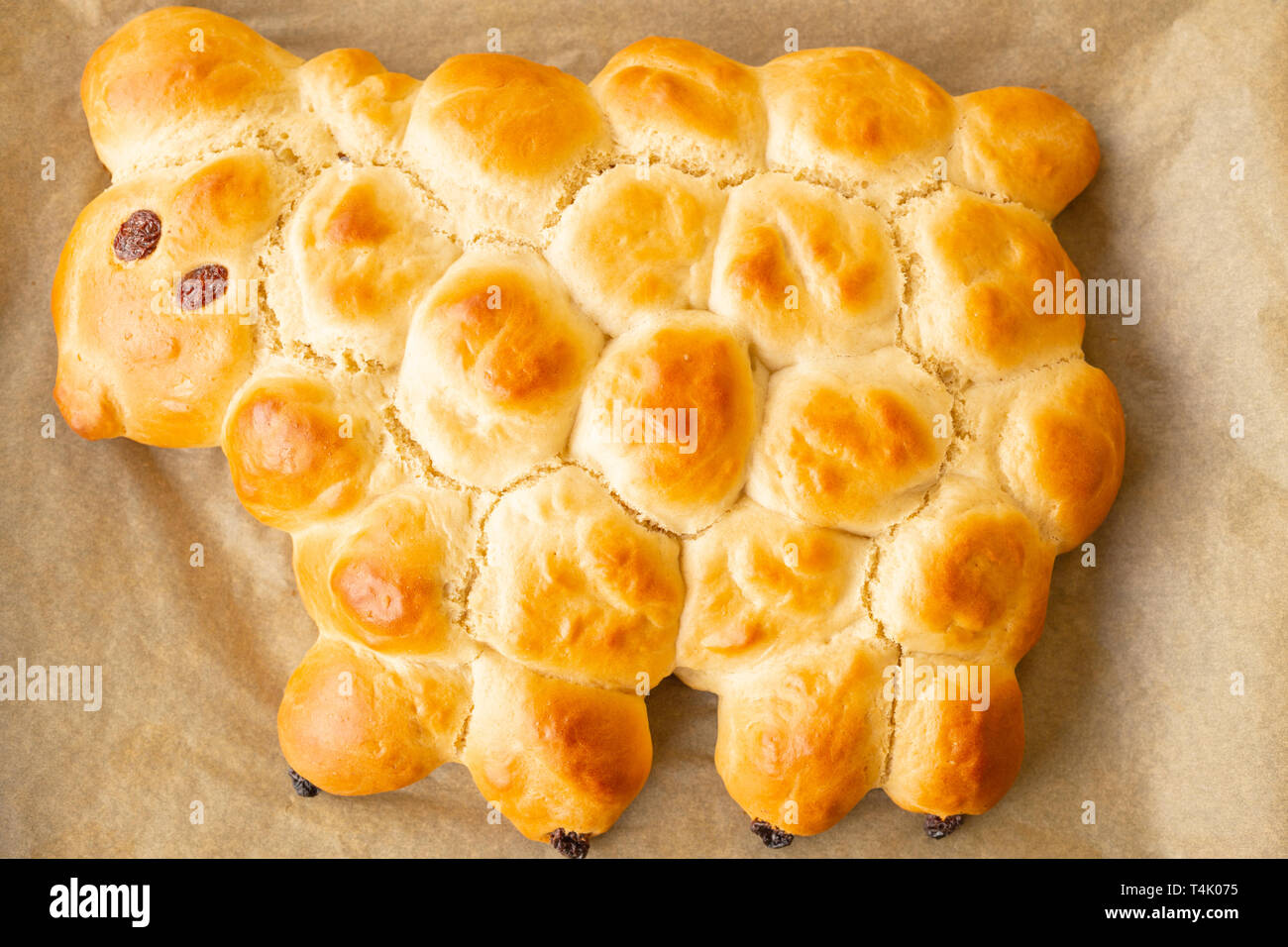 Vegan Ostern Lamm auf Hefeteig mit Puderzucker und Rosinen verziert basiert Stockfoto