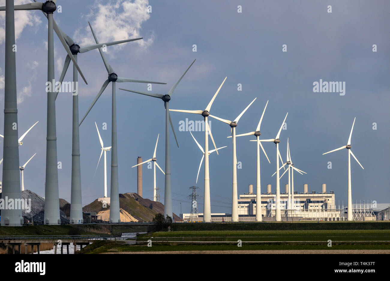Windpark Westereems und Growind, insgesamt über 80 Windenergieanlagen, in Eemshaven Seehafen, Groningen Provinz, im Nordwesten der Niederlande, Stockfoto