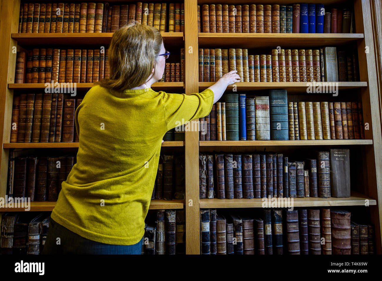 Die Kathedrale von Salisbury Archivar Emily Naish erreicht für Leder - gebundene Bücher im 15. Jahrhundert die Bibliothek der Kathedrale, wo ein Projekt zum Katalog, sauber und finden Sie mehr über die seltene Buch Sammlung ist im Gange. Stockfoto