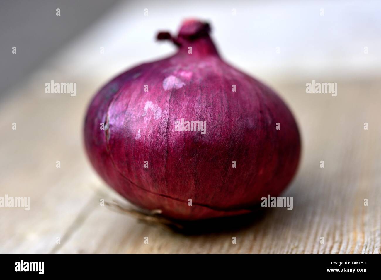 Rote Zwiebel, Allium cepa Stockfoto