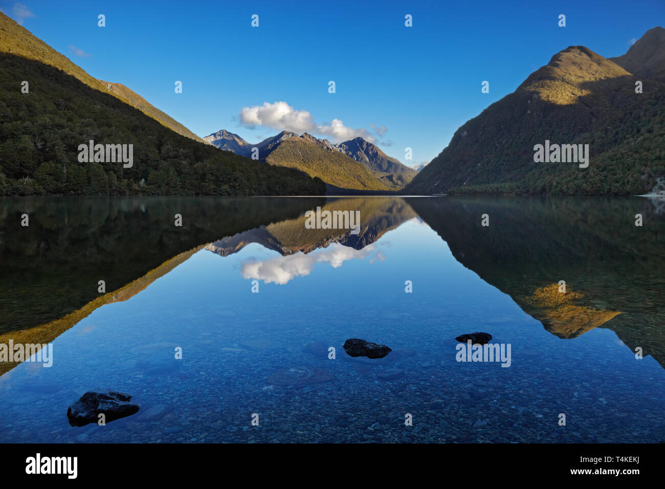Lake Gunn, Fiordland, Neuseeland Stockfoto