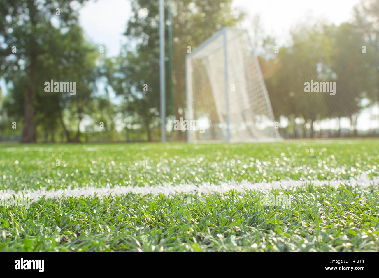 Defokussierten Fußballtor auf grünem Gras in den frühen Morgenstunden Stockfoto