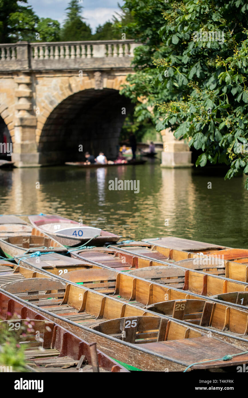 Bootfahren In Punts am Fluss Cherwell In Oxford Stockfoto