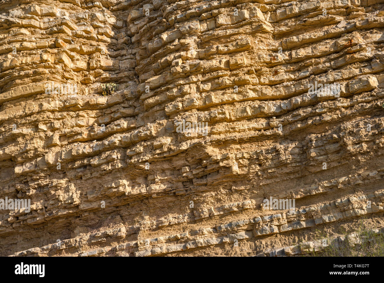 Kalkstein und Schiefer Schichten von boquillas Bildung in der Nähe von Hot Springs, Big Bend National Park, Texas, USA Stockfoto