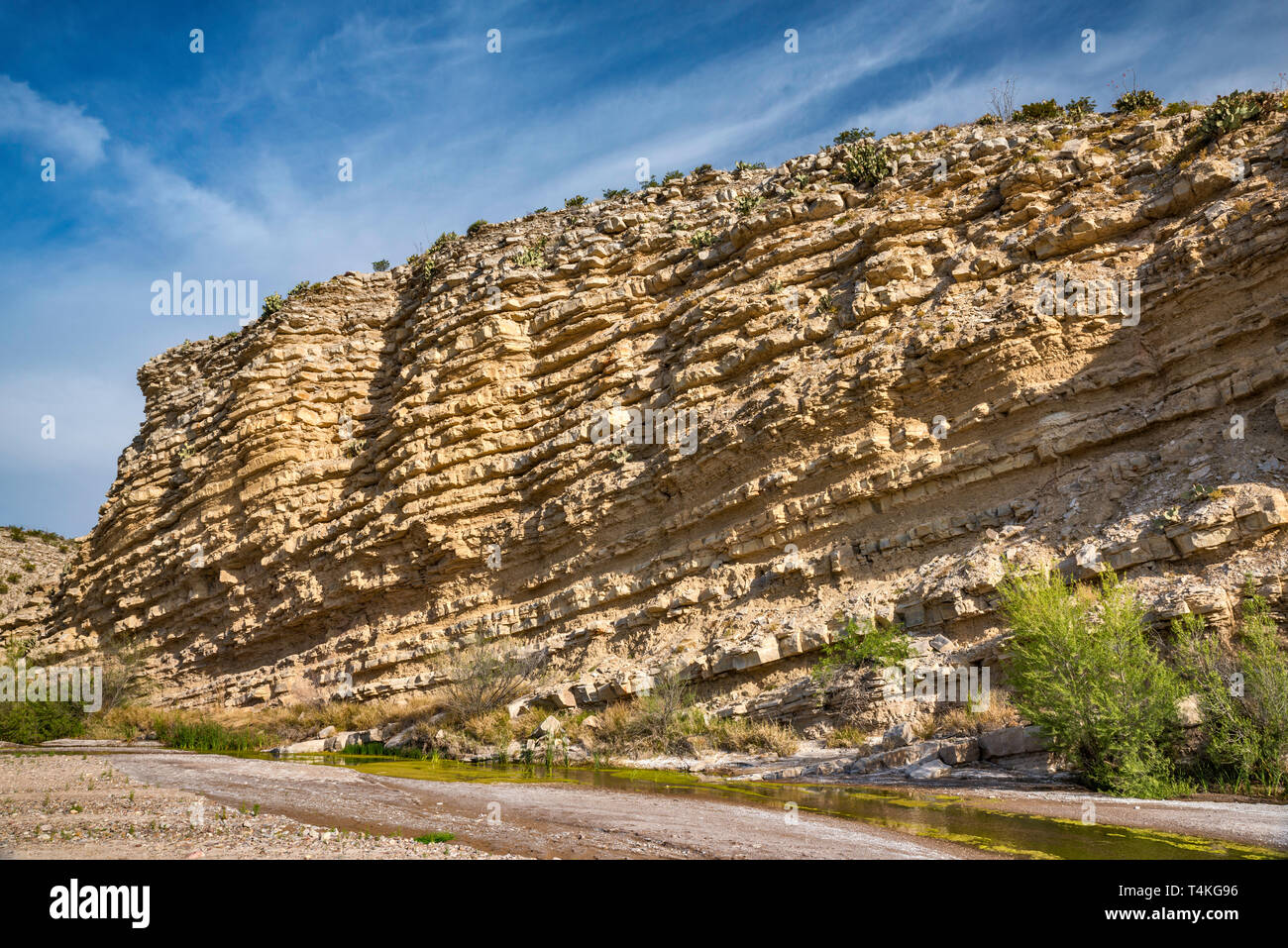 Kalkstein und Schiefer Schichten von boquillas Bildung von kleinen Bach in der Nähe von Hot Springs, Big Bend National Park, Texas, USA Stockfoto