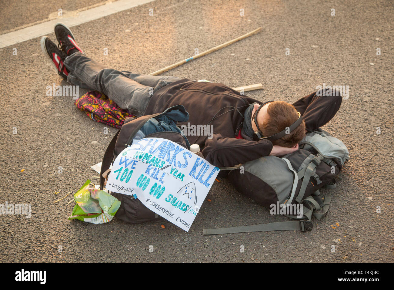 Eine Demonstrantin liegt auf der Straße auf der Waterloo Bridge für das Aussterben Rebellion Demonstration mit einem Plakat Stockfoto