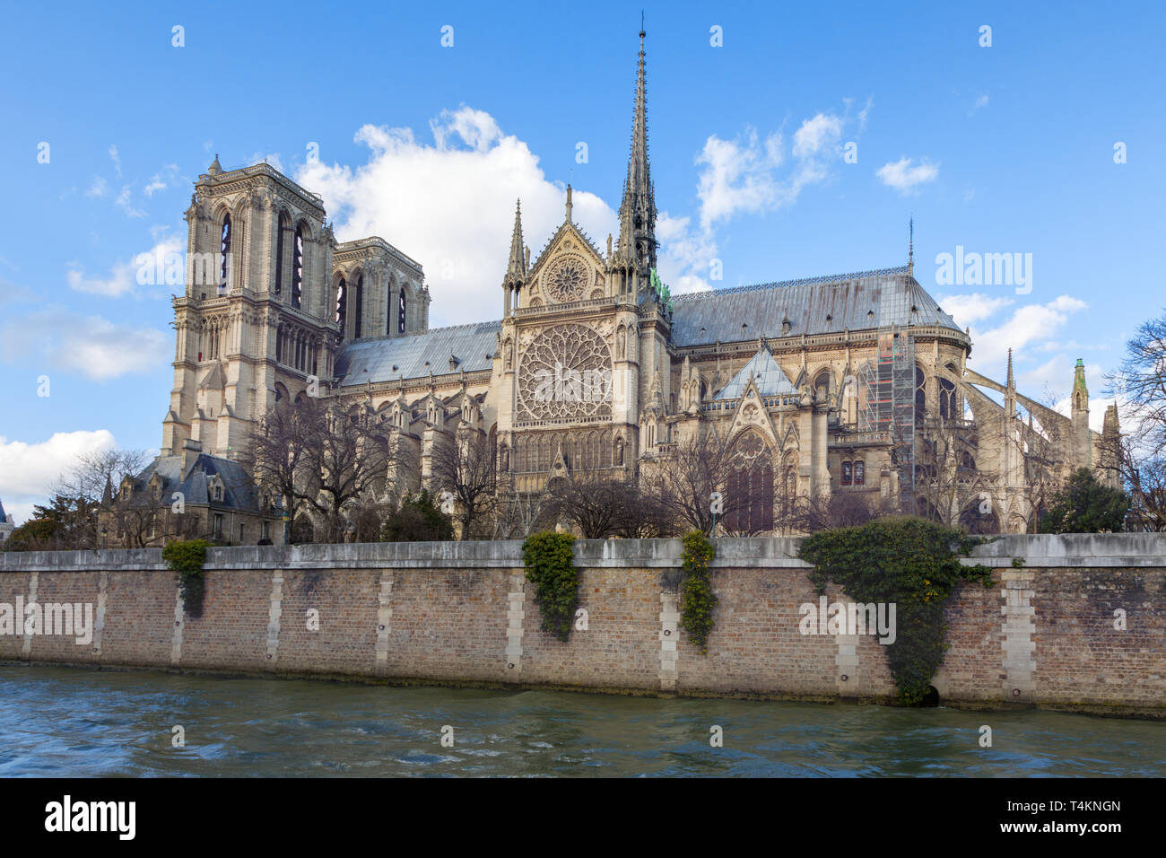 Die Kathedrale Notre Dame in Paris. Frühling. Von der Seitenansicht mit Spitze und hinten Strebebögen, über die Seine. Stockfoto