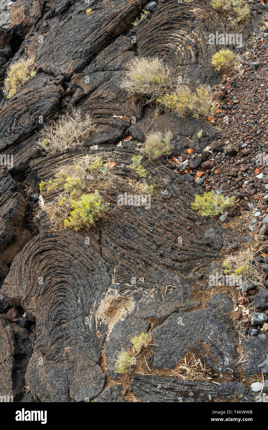 Pahoehoe lave Fluss mit kleinen Sträuchern und Müll in Playa San Juan, Teneriffa, Kanarische Inseln, Spanien gedumpten Stockfoto