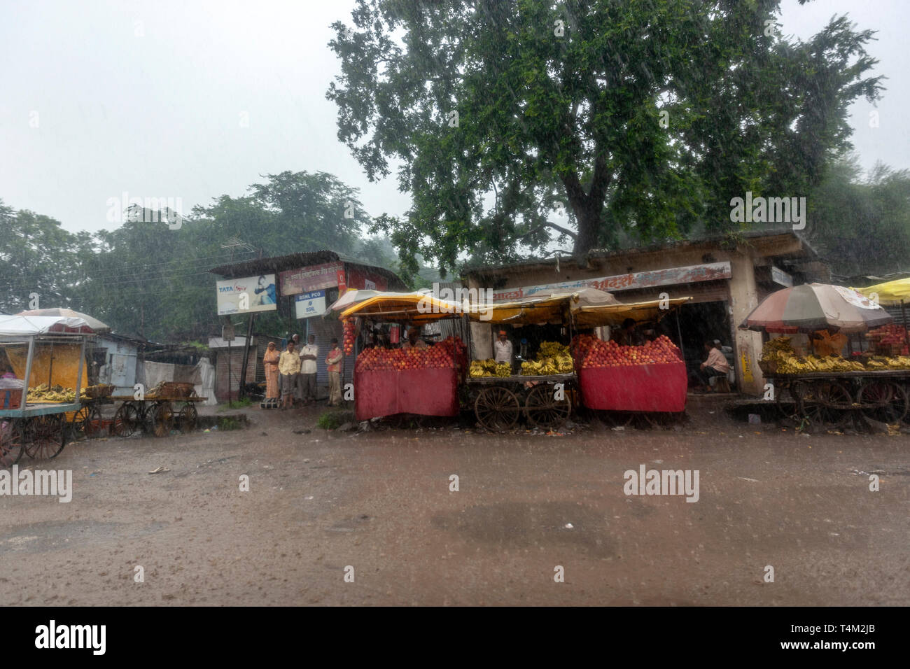 Seite Straße Dorf Markt mit Obst blockiert unter einem schweren Monsunregen in Maharashtra, Indien Stockfoto