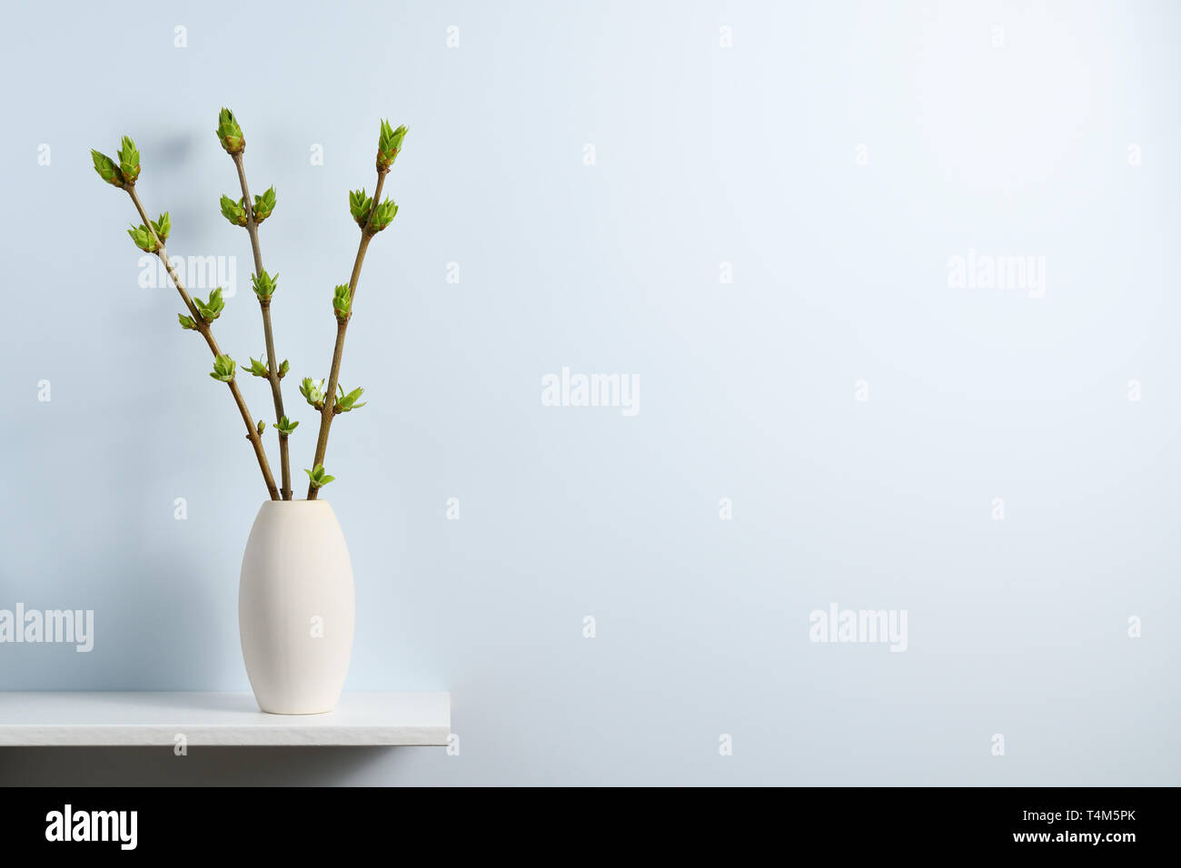 Äste mit grünen Frühling Blüten in der Vase auf dem Regal in der Nähe der blauen Wand mit Text Raum Stockfoto