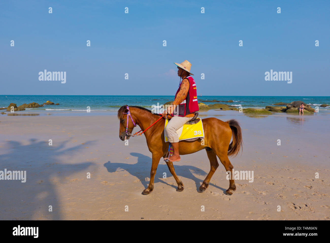 Pony für Miete, Beach, Hua Hin, Thailand Stockfoto