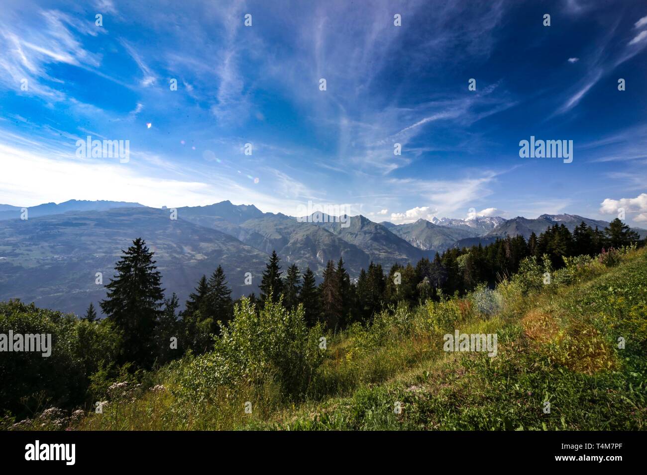 Atemberaubende alpine View mit Wiesen und Wald, Les Arcs, Frankreich. Stockfoto
