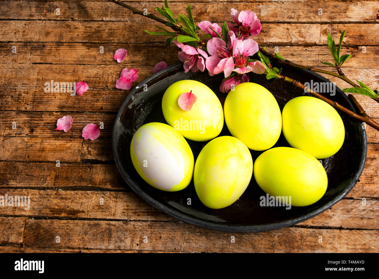 Gelbe Ostereier und Frühlingsblumen Top View Stockfoto
